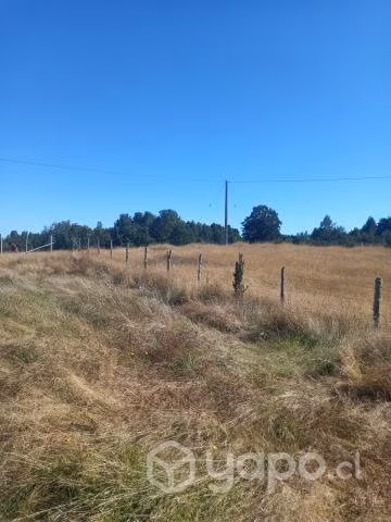 Se venden parcelas en Quellón Chiloé