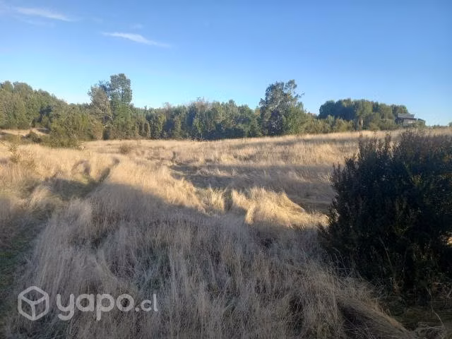 Se venden parcelas en Quellón Chiloé