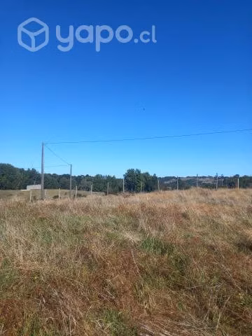 Se venden parcelas en Quellón Chiloé