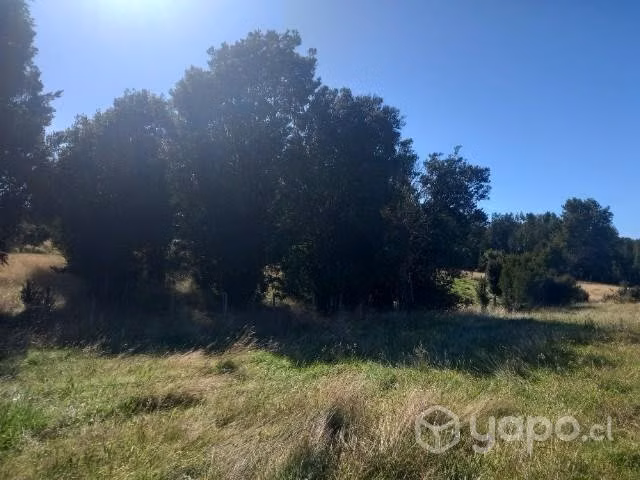 Se venden parcelas en Quellón Chiloé