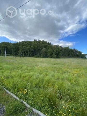 Parcelas de 5.000 m2 en condominio