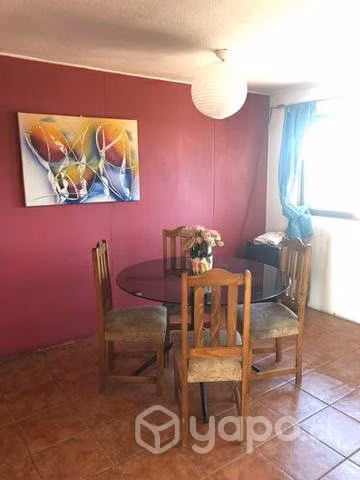 Arriendo departamento amoblado Constitución