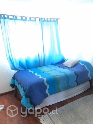 Arriendo departamento amoblado Constitución