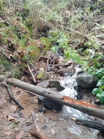 Parcela agrado, Biobío pre cordillera
