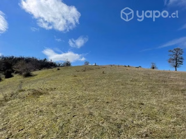 Parcela de agrado 5000 M2 - Traiguen