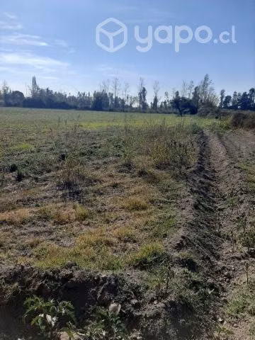 Terreno en la trilla