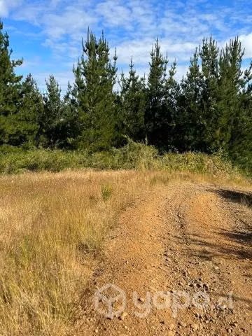 Carahue - Vendo terreno de 5000 metros cuadrados