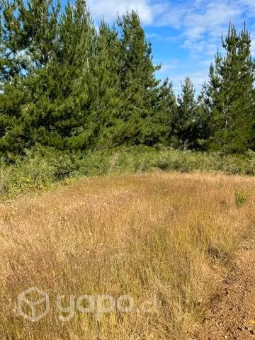 Carahue - Vendo terreno de 5000 metros cuadrados