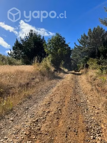 Carahue - Vendo terreno de 5000 metros cuadrados