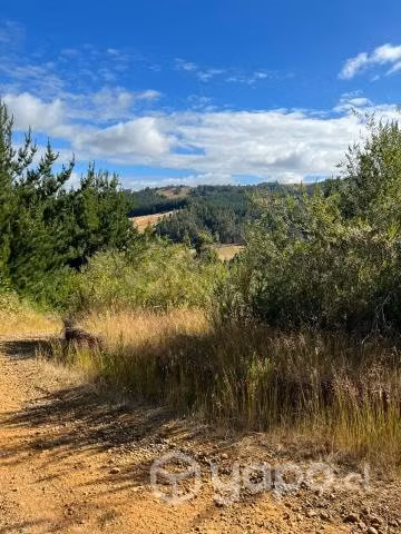 Carahue - Vendo terreno de 5000 metros cuadrados