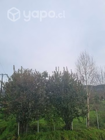 Sitio 700mts Antilhue