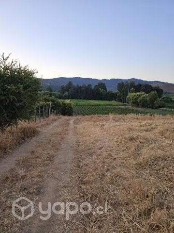 Venta de predio agricola - Imagen 3
