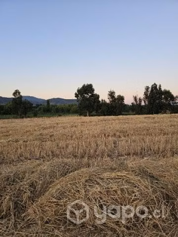 Venta de predio agricola - Imagen 2