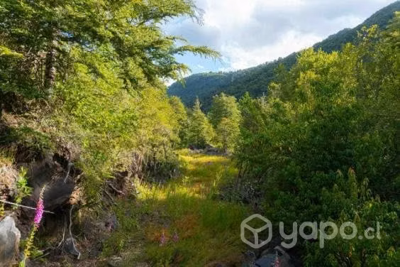 Parcela en Curarrehue - Imagen 4