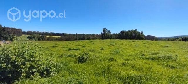 Parcela de 10.300 m2 en Sector Centinela, La Unión