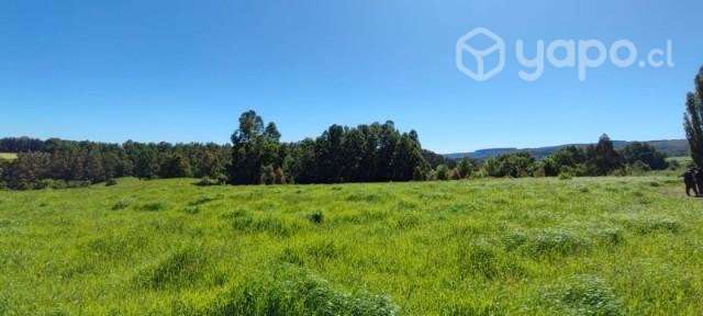Parcela de 10.300 m2 en Sector Centinela, La Unión - Imagen 5