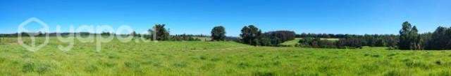 Parcela de 10.300 m2 en Sector Centinela, La Unión - Imagen 4