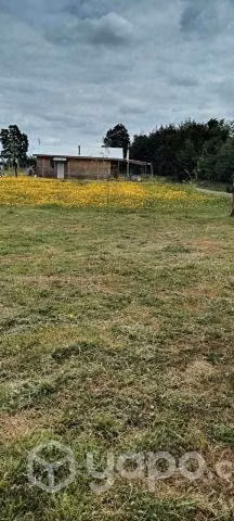 terreno con 2 casas - Imagen 4