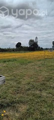 terreno con 2 casas