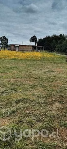 terreno con 2 casas - Imagen 3