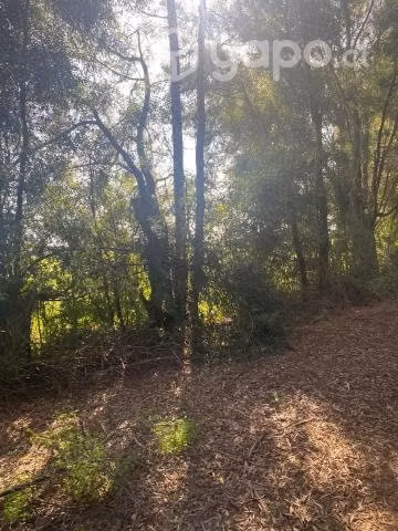 Venta de Terreno Agricola