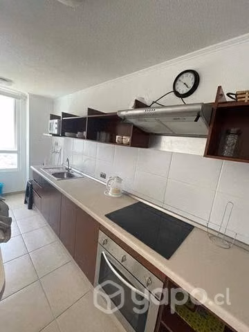 Arriendo diario temporada verano MARINA SOL