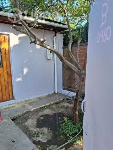 Arriendo depto amoblado