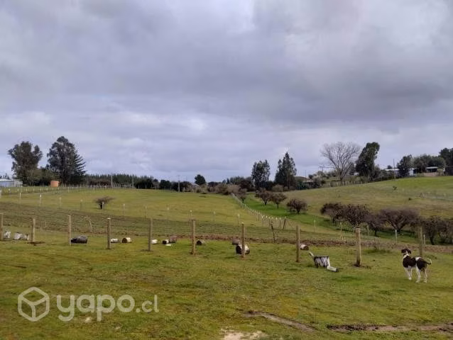Parcela