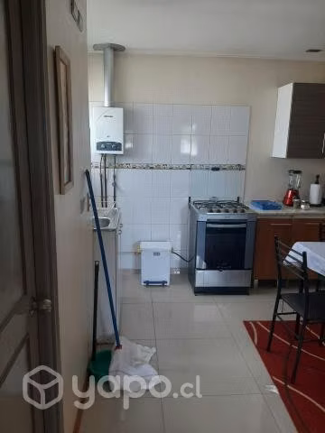 Acogedora cabaña en isla teja , disponible enero y