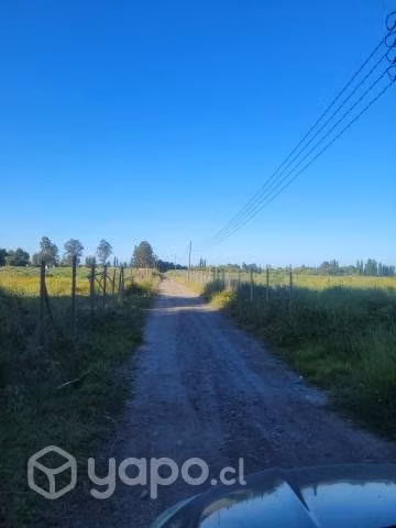 Parcela de 5000 en Longaví