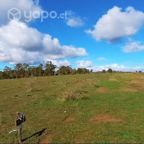 Vendo terreno agricola 5000m2 rol propio