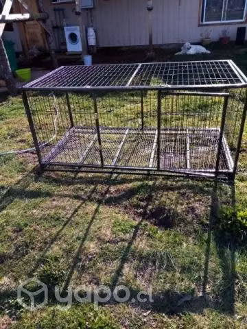 Jaula canil para 2 perros grandes