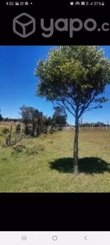 Vendo terreno (sitio ) - Imagen 5