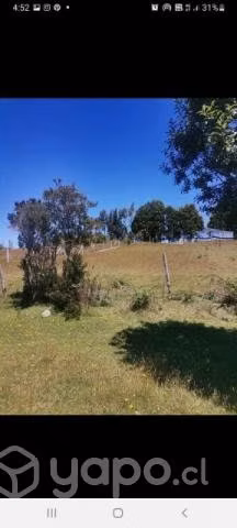 Vendo terreno (sitio ) - Imagen 4