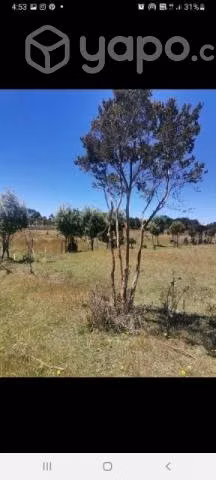 Vendo terreno (sitio )