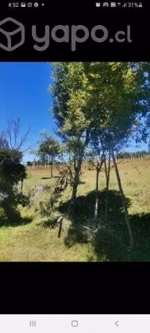 Vendo terreno (sitio ) - Imagen 6