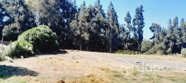 Parcela 5.000 mtrs a 45 minutos de stgo