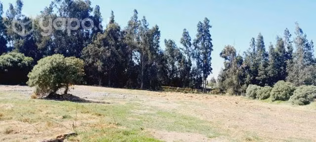 Parcela 5.000 mtrs a 45 minutos de stgo