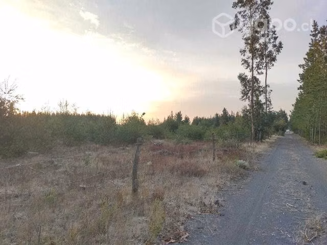 Se vende terreno en Los Angeles sector pedregal - Imagen 8