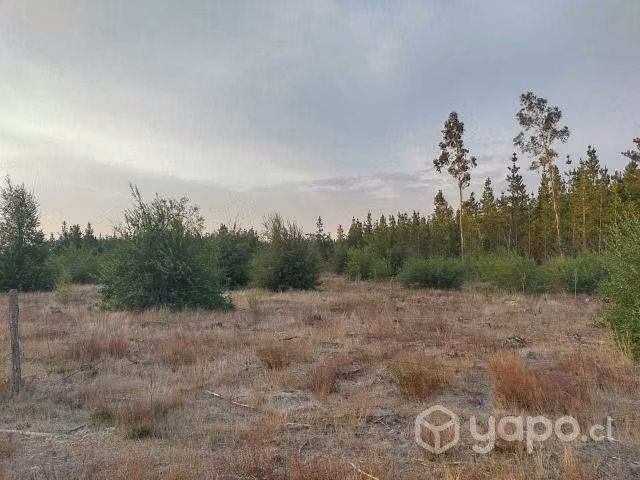 Se vende terreno en Los Angeles sector pedregal - Imagen 11