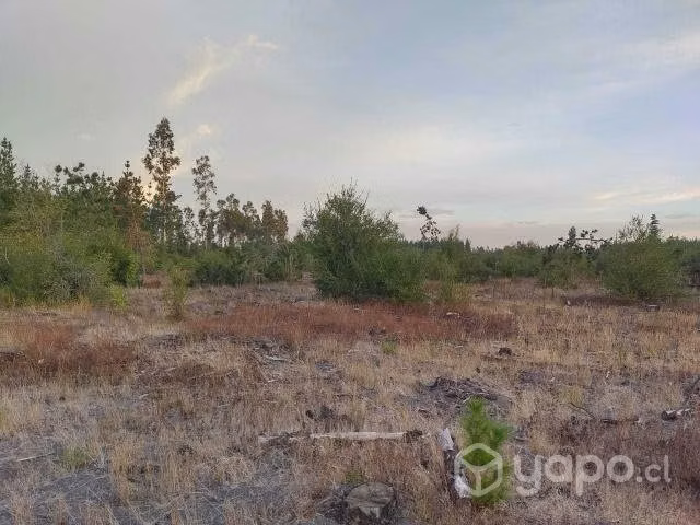 Se vende terreno en Los Angeles sector pedregal - Imagen 2