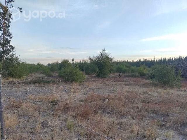 Se vende terreno en Los Angeles sector pedregal - Imagen 10