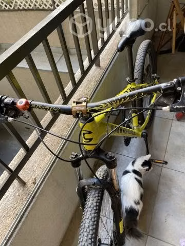 Bicicleta MTB CANNONDALE - Imagen 3