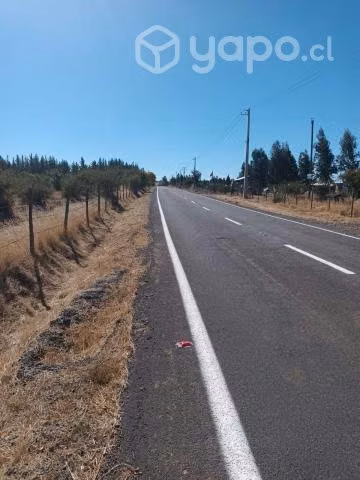 Parcela en Cauquenes