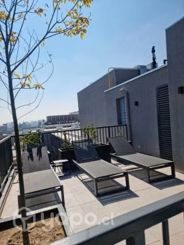 Departamento barrio universitario, grajales