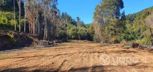 Sitios exclusivos en loteo residencial, 2000 mts2