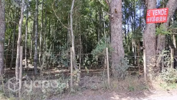 Parcela a orillas del Estero Loncotraro