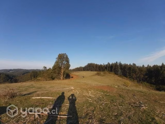 Se vende Campo de 3 hectáreas