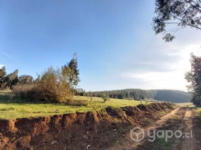 Se vende Campo de 3 hectáreas
