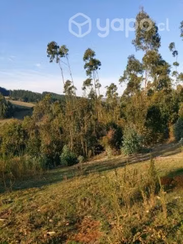 Se vende Campo de 3 hectáreas